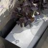 218117 4 stojan na kvetiny simply grow 80 x 53 cm cerna ocel eva solo