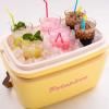 218366 13 chladici box pop 20 l svetle limetkova polarbox