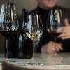 221579 1 sklenice na bile vino enoteca 319 ml sada 2 ks zwiesel glas