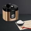 221429 5 ryzovar coppertinto rk364g10 2 l medena tefal
