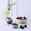 223650 1 jidelni miska coupe 12 cm 350 ml sea salt kamenina le creuset