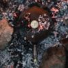 227121 2 finex skillet 8 with lid campfire cooking