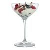 Pezsgőspohár SPECIAL GLASSES DESSERT/CHAMPAGNER SAUCER, 4 db szett, 250 ml, Spiegelau