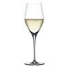 Pezsgőspohár AUTHENTIS, 4 db szett, 270 ml, Spiegelau