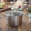 Fazék VISEO 24 cm, Fissler