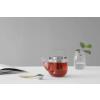 Tea teáskanna Björn Viva Scandinavia 0,65 l