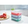 Élelmiszertároló edény MASTER SEAL COLOUR EDITION N1030910 , 4 db szett, korallpiros, műanyag, Tefal