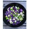 Bio fűszerkeverékek CABBAGE KARMA 50 g, Mill & Mortar