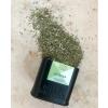 Bio fűszerkeverék ZA'ATAR 40 g, Mill & Mortar