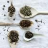 Teáskészlet ALAIN DUCASSE , 5 x 20 g-os doboz + infúzió, Kusmi Tea