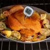 Grill hőmérő GOOD GRIPS 25 cm, fekete, műanyag, OXO