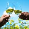 209899 2 rozlisovace na sklenice rainbow sada 9 ks l atelier du vin